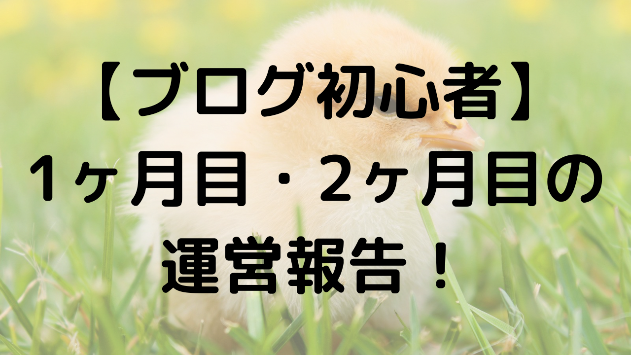 ブログ初心者 1ヶ月目 2ヶ月目の運営報告 お花ちゃんブログ